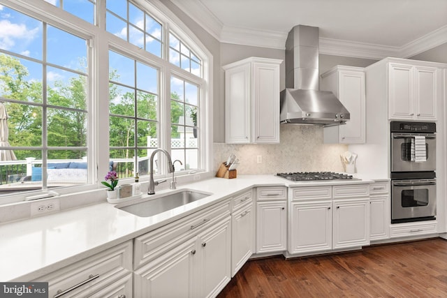 18729 Upper Meadow Dr, Leesburg, VA 20176 - kitchen with appliances with stainless steel finishes, wall chimney exhaust hood, a sink, white cabinets, and backsplash