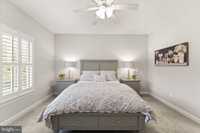18729 Upper Meadow Dr, Leesburg, VA 20176 - bedroom featuring multiple windows, baseboards, and light colored carpet