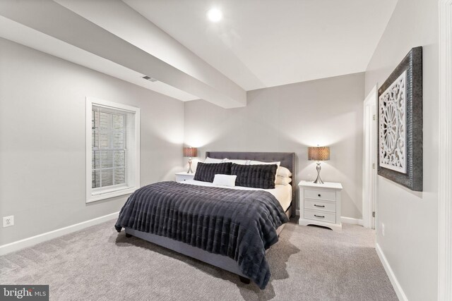 18729 Upper Meadow Dr, Leesburg, VA 20176 - bedroom featuring carpet floors and baseboards