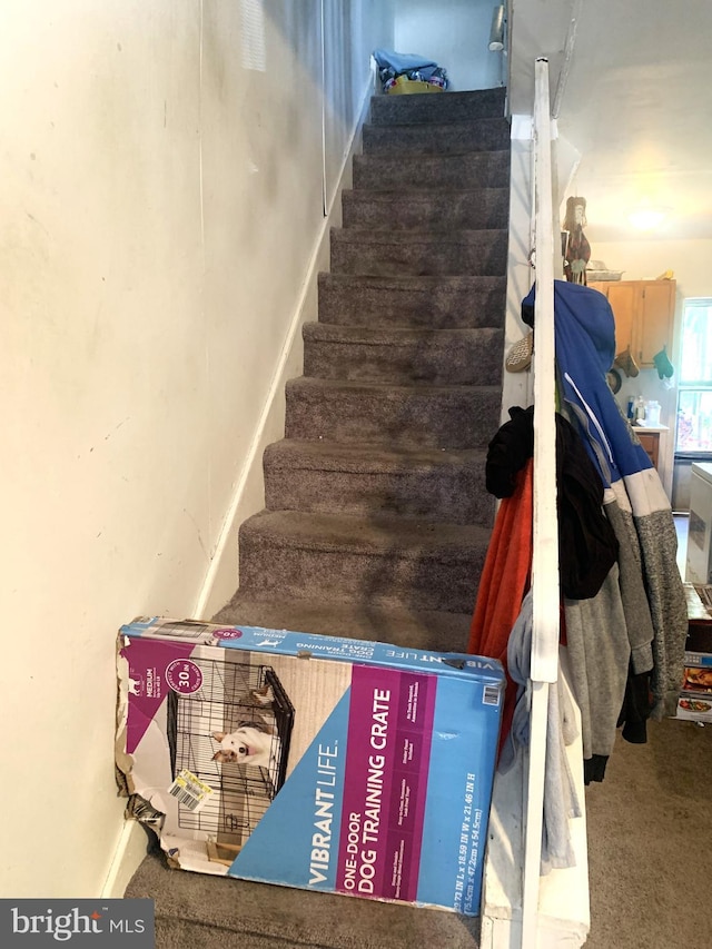 stairs featuring carpet