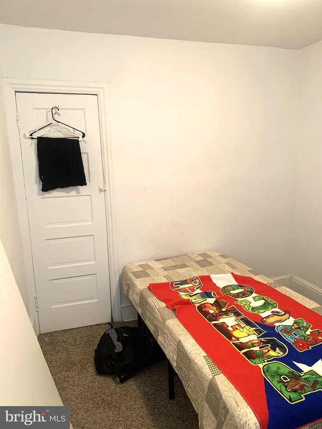 bedroom featuring carpet