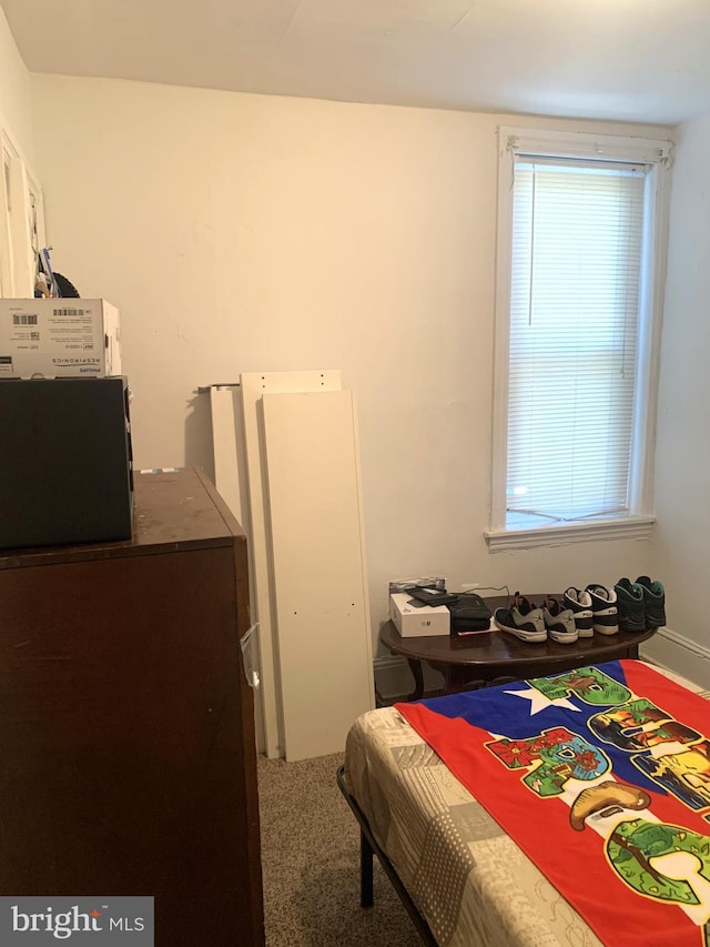 carpeted bedroom with multiple windows