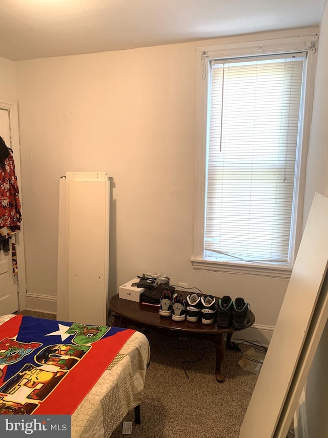 bedroom featuring multiple windows