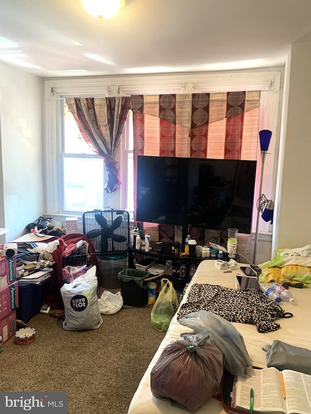 bedroom with carpet floors