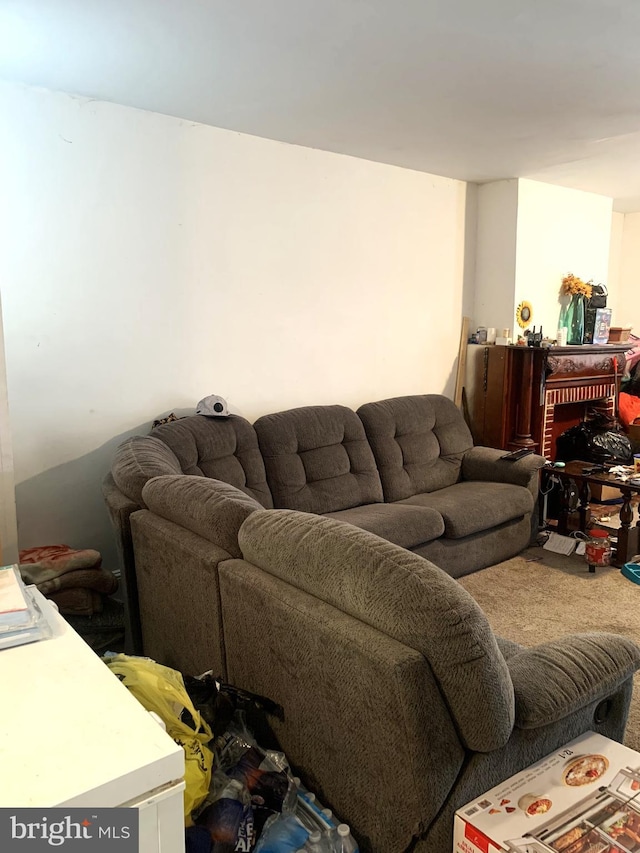 living room with carpet
