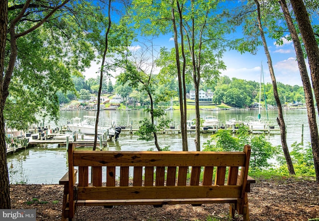 dock area with a water view
