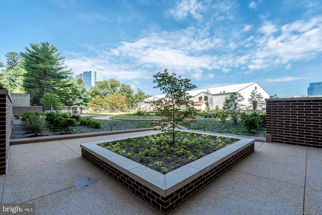view of patio / terrace featuring a garden