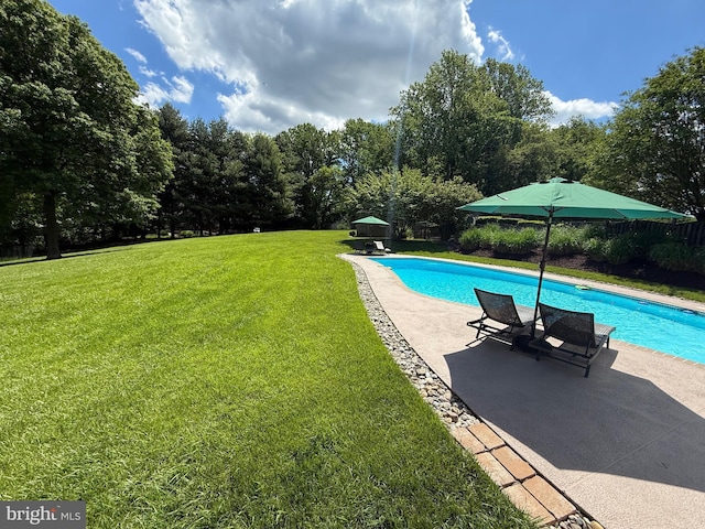 6085 Franklin Gibson Rd, Tracys Landing, MD 20779 - swimming pool featuring a patio area and a yard
