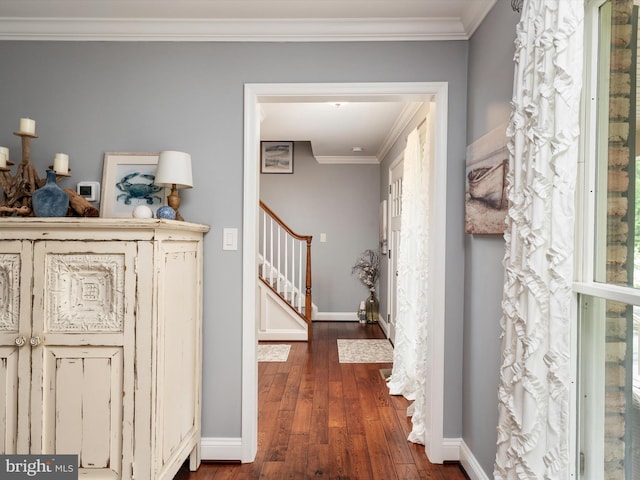6085 Franklin Gibson Rd, Tracys Landing, MD 20779 - hall featuring dark wood-style floors, ornamental molding, stairway, and baseboards