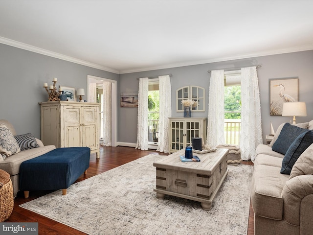 6085 Franklin Gibson Rd, Tracys Landing, MD 20779 - living room with wood finished floors, ornamental molding, and baseboards