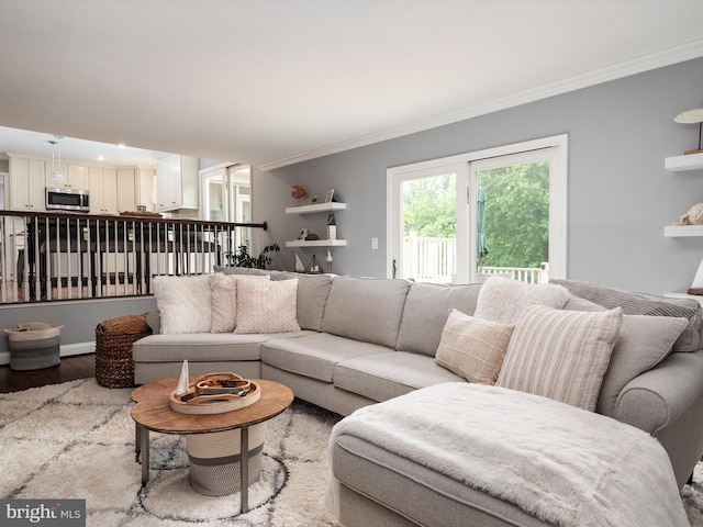 6085 Franklin Gibson Rd, Tracys Landing, MD 20779 - living area with ornamental molding and wood finished floors