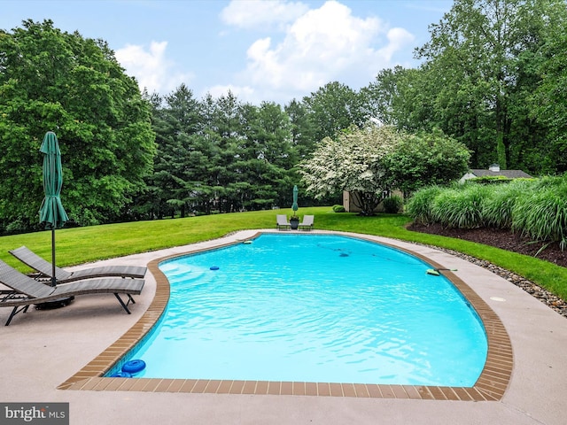 6085 Franklin Gibson Rd, Tracys Landing, MD 20779 - swimming pool featuring a lawn, a patio area, and view of scattered trees