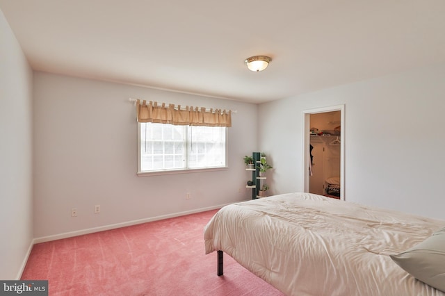 bedroom featuring baseboards, carpet, and a walk in closet