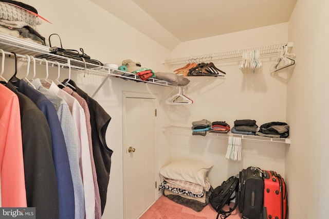 view of walk in closet