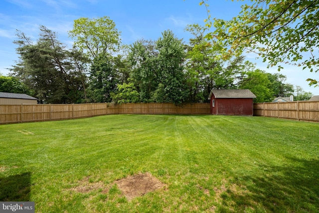 view of yard featuring a storage unit and an outbuilding