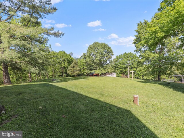 4126 Coseytown Rd, Greencastle, PA 17225 - view of green lawn
