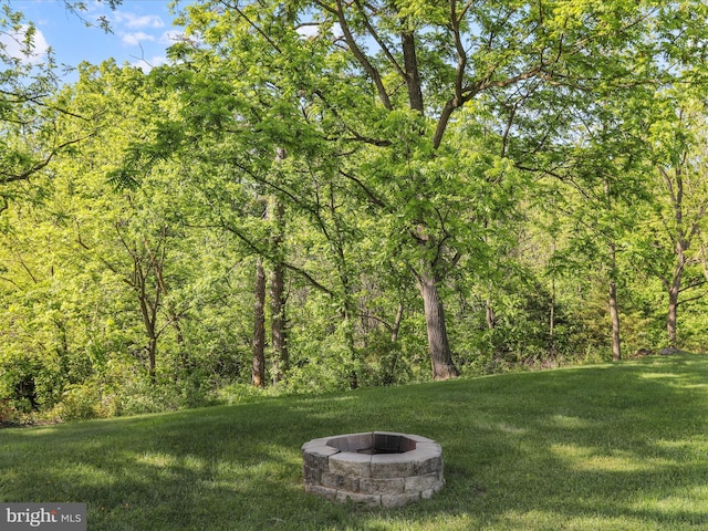 4126 Coseytown Rd, Greencastle, PA 17225 - view of green lawn with a fire pit and a wooded view