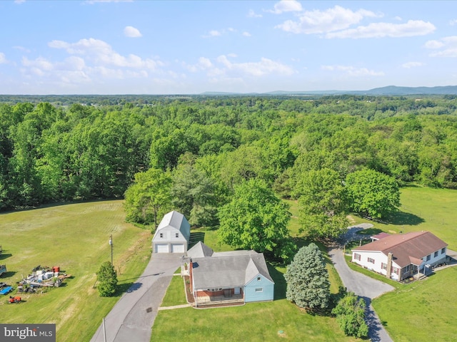 4126 Coseytown Rd, Greencastle, PA 17225 - aerial view of a forest