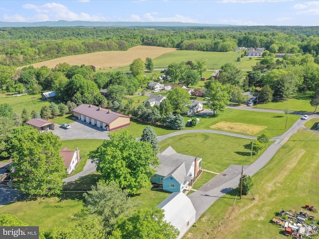 4126 Coseytown Rd, Greencastle, PA 17225 - drone / aerial view of a forest