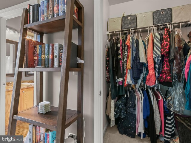 view of walk in closet
