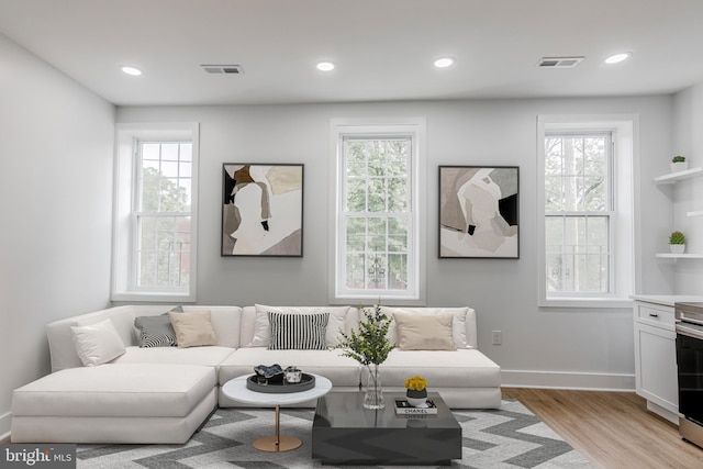 1801 Otis St NE Unit 6, Washington, DC 20018 - living area featuring light wood-style flooring, healthy amount of natural light, and recessed lighting