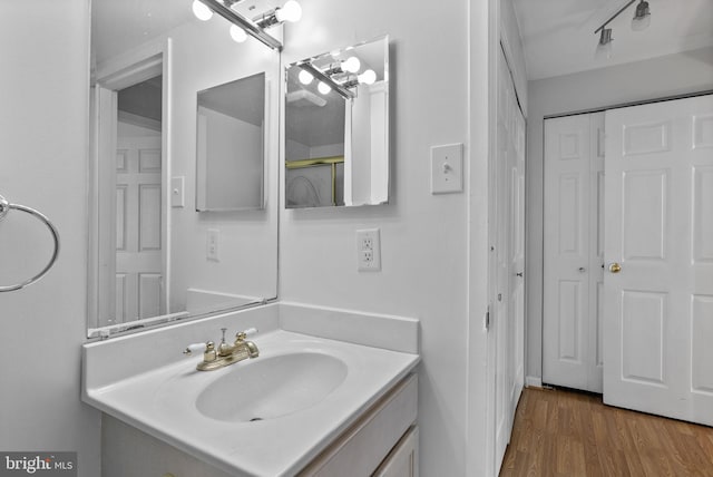 bathroom featuring wood finished floors and vanity