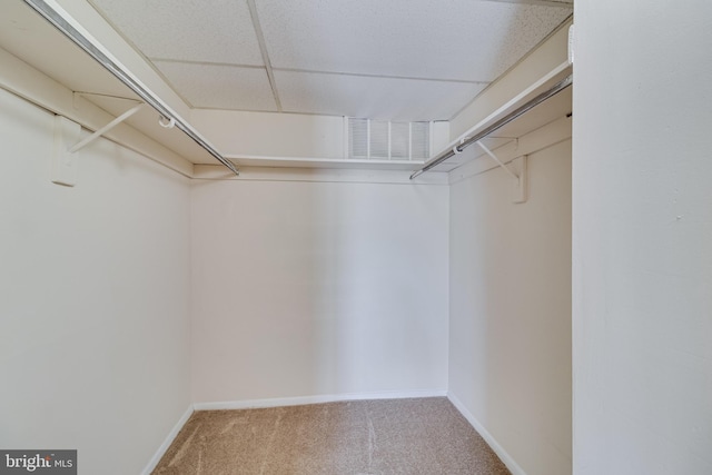 5707 Indian Ct Unit 31, Alexandria, VA 22303 - spacious closet with carpet floors
