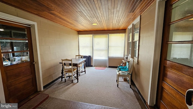 826 S Dupont Blvd, Smyrna, DE 19977 - sunroom / solarium featuring wooden ceiling, carpet, and concrete block wall