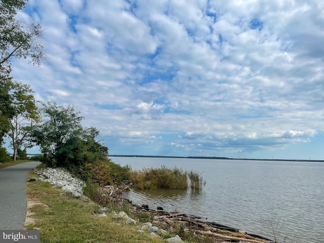 216 N Heron Ln, New Castle, DE 19720 - water view