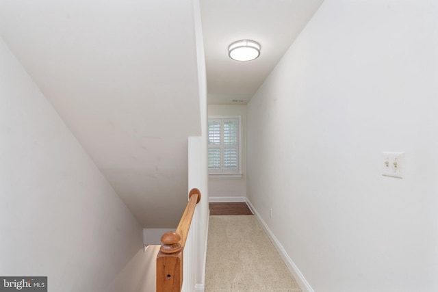 3910 Corbin Hall Ln, Fredericksburg, VA 22408 - stairway featuring carpet flooring and baseboards