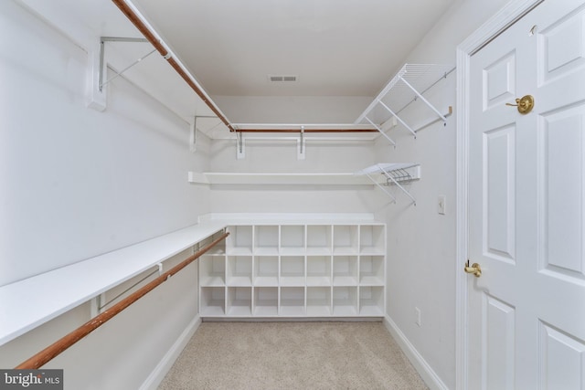 3910 Corbin Hall Ln, Fredericksburg, VA 22408 - walk in closet featuring light carpet