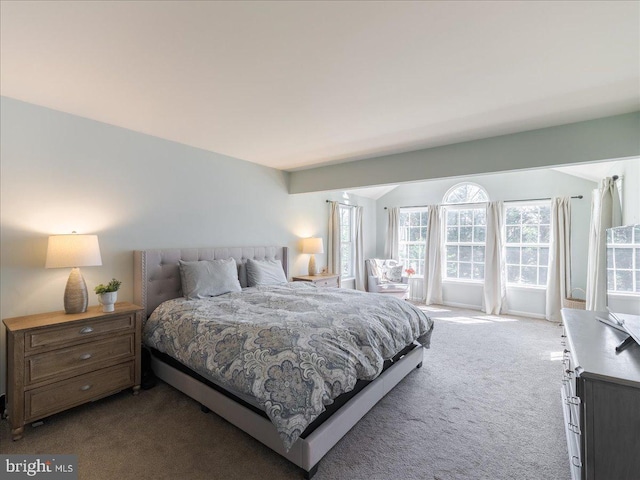403 Joshua Ln, Middletown, DE 19709 - carpeted bedroom featuring vaulted ceiling