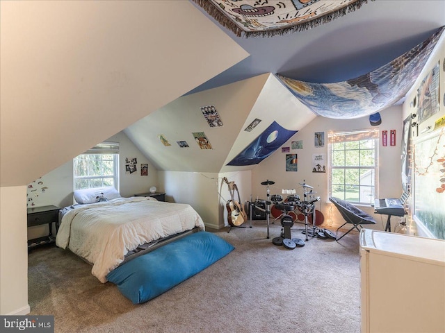 403 Joshua Ln, Middletown, DE 19709 - carpeted bedroom with multiple windows and lofted ceiling