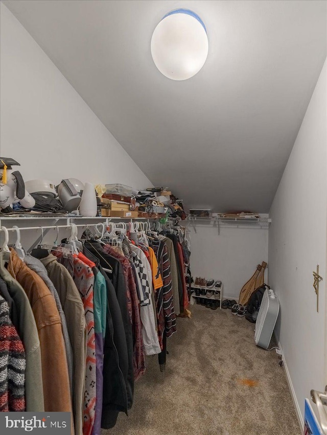 403 Joshua Ln, Middletown, DE 19709 - walk in closet with carpet and lofted ceiling