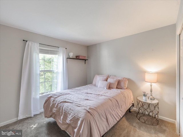 403 Joshua Ln, Middletown, DE 19709 - bedroom with carpet floors and baseboards