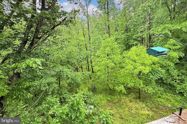 8265 Private Ln, Annandale, VA 22003 - view of undeveloped land