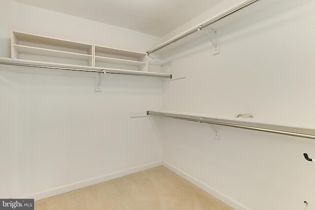 8265 Private Ln, Annandale, VA 22003 - walk in closet featuring light carpet