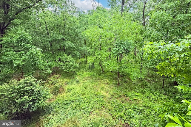 8265 Private Ln, Annandale, VA 22003 - view of tree filled area