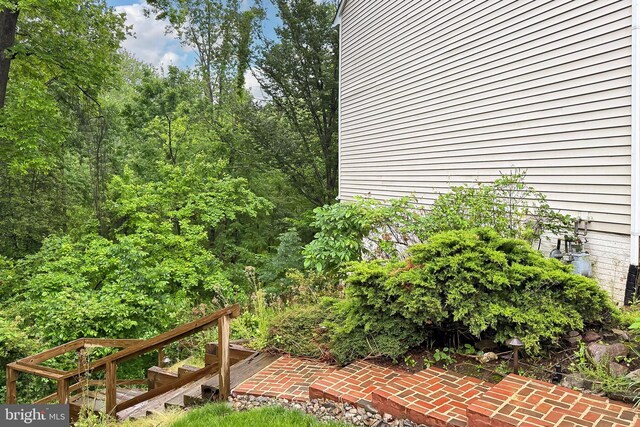 8265 Private Ln, Annandale, VA 22003 - view of yard