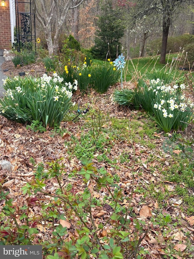 8265 Private Ln, Annandale, VA 22003 - view of yard