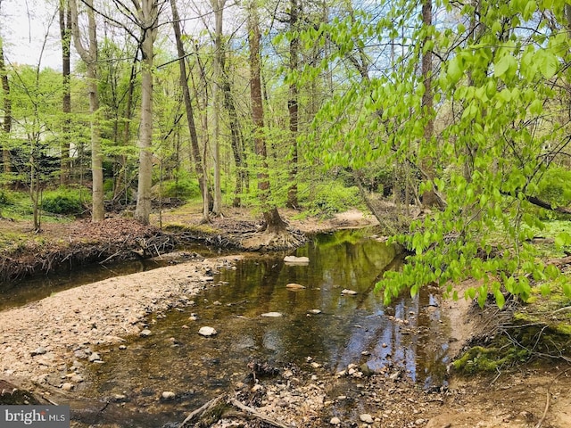 8265 Private Ln, Annandale, VA 22003 - view of local wilderness