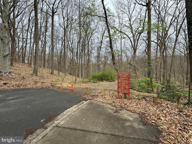 8265 Private Ln, Annandale, VA 22003 - view of yard featuring a forest view