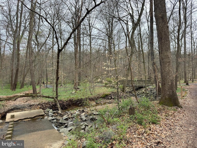 8265 Private Ln, Annandale, VA 22003 - view of tree filled area