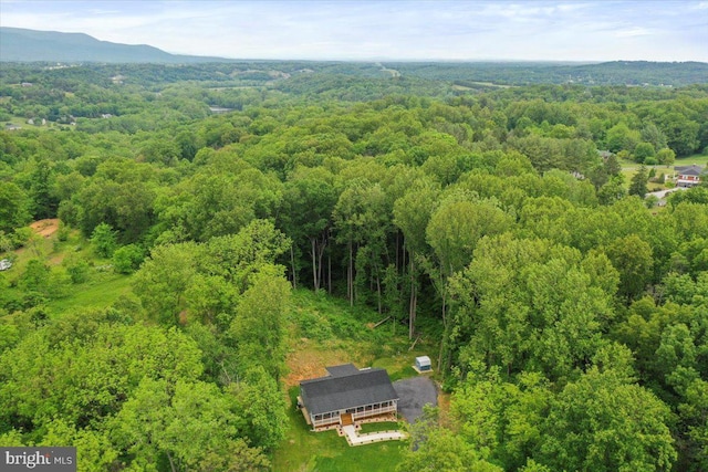 bird's eye view of a forest and mountains