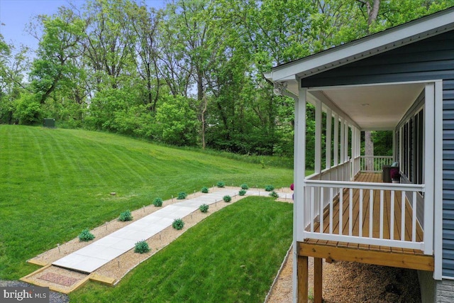 view of green lawn
