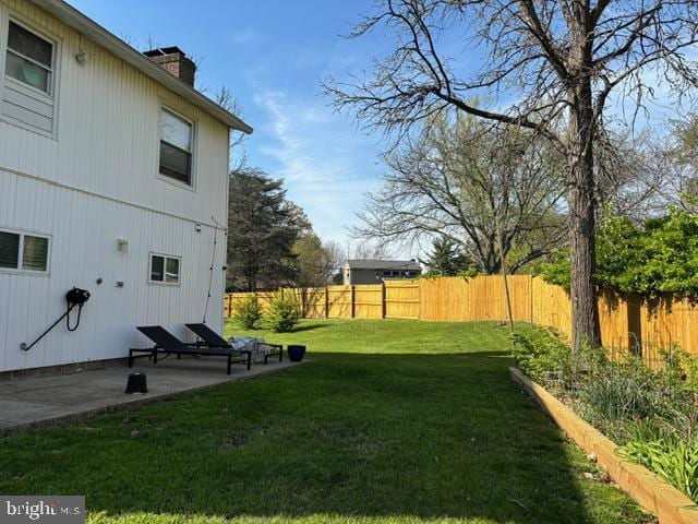 view of yard featuring a patio
