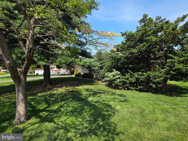 123 Westbrook Dr, Lancaster, PA 17603 - view of green lawn