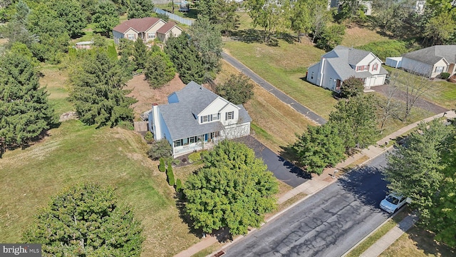 bird's eye view