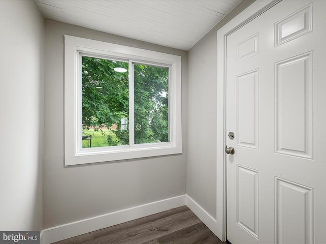 19 W Jackson St, Front Royal, VA 22630 - entryway featuring plenty of natural light, baseboards, and dark wood-style floors