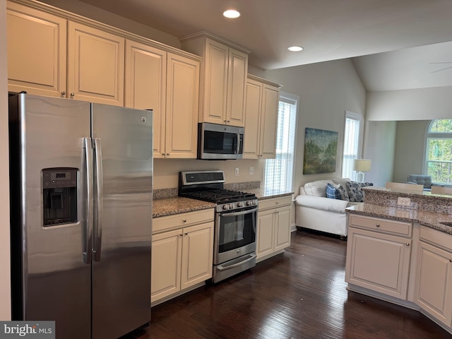 41259 Gloucester Dr, Rehoboth Beach, DE 19971 - kitchen featuring stainless steel appliances, lofted ceiling, recessed lighting, dark wood-type flooring, and light stone counters
